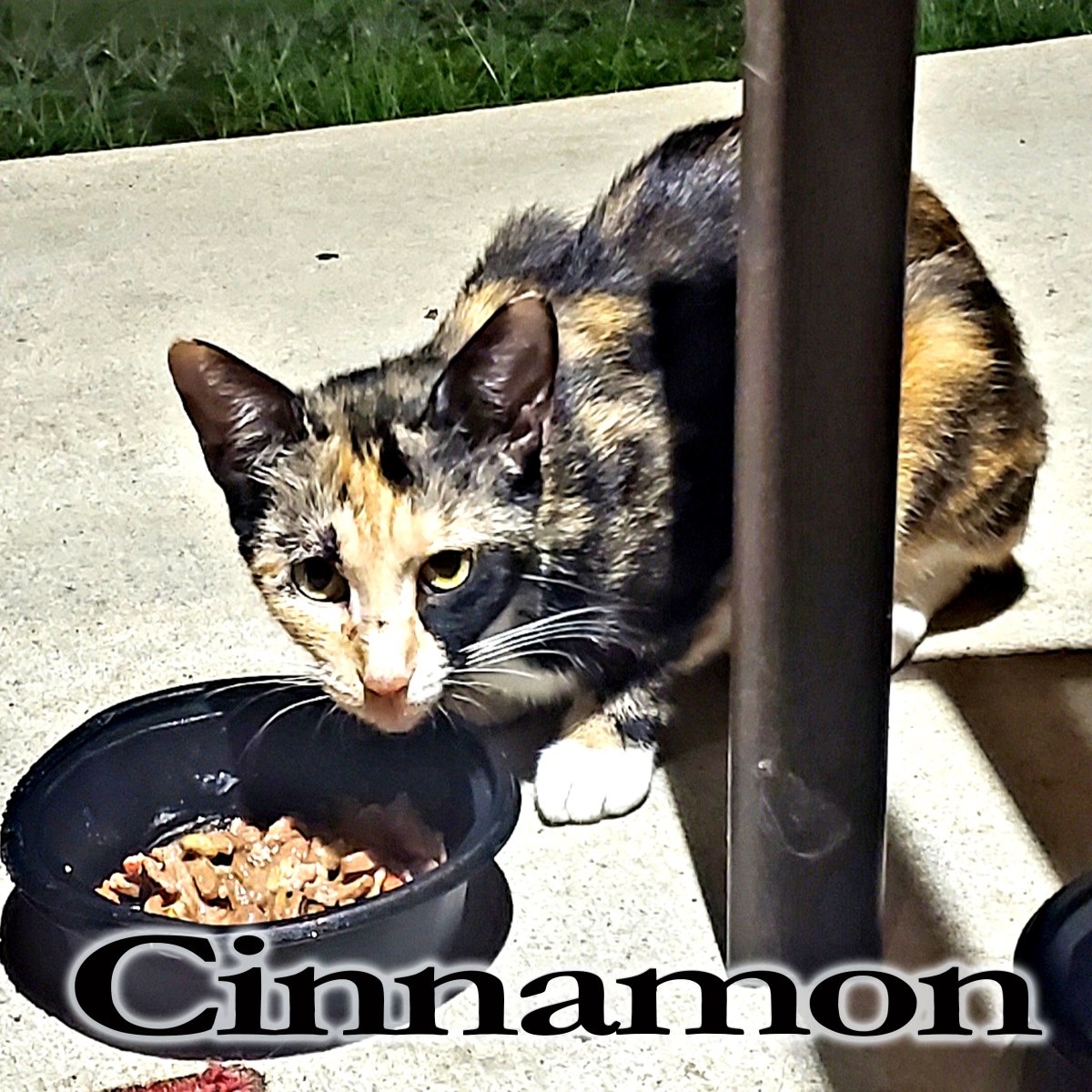 Cinnamon